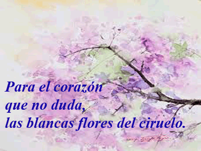 Haikus Kobayashi Issa-Biblioteca-Biografia-Letras Como Espada