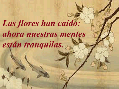 Haikus Kobayashi Issa-Biblioteca-Biografia-Letras Como Espada