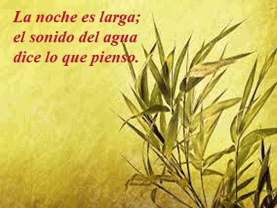 Haikus Kobayashi Issa-Biblioteca-Biografia-Letras Como Espada