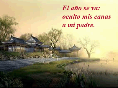 Haikus Kobayashi Issa-Biblioteca-Biografia-Letras Como Espada